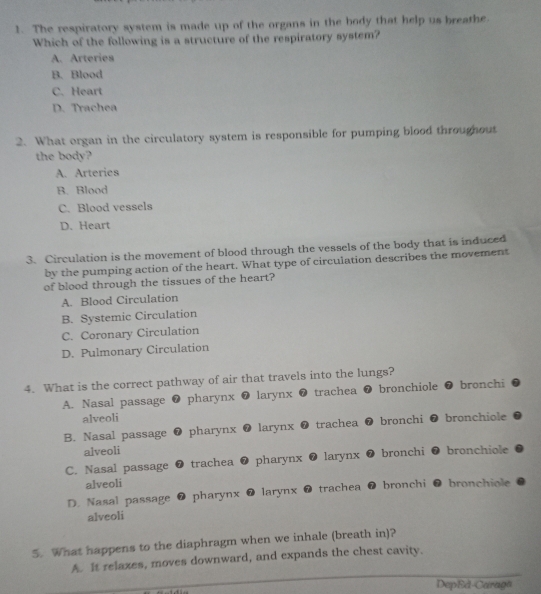 The respiratory system is made up of the organs in the body that help us breathe.
Which of the following is a structure of the respiratory system?
A. Arteries
B. Blood
C. Heart
D. Trachea
2. What organ in the circulatory system is responsible for pumping blood throughout
the body?
A. Arteries
B. Blood
C. Blood vessels
D. Heart
3. Circulation is the movement of blood through the vessels of the body that is induced
by the pumping action of the heart. What type of circulation describes the movement
of blood through the tissues of the heart?
A. Blood Circulation
B. Systemic Circulation
C. Coronary Circulation
D. Pulmonary Circulation
4. What is the correct pathway of air that travels into the lungs?
A. Nasal passage 0 pharynx larynx trachea ❼ bronchiole ❼ bronchi
alveoli
B. Nasal passage 0 pharynx larynx trachea ❼ bronchi ❼ bronchiole
alveoli

C. Nasal passage ❼ trachea pharynx larynx bronchi ❼ bronchiole
alveoli
D. Nasal passage ❼ pharynx ❼ larynx ❼ trachea bronchi @ bronchiole
alveoli
5. What happens to the diaphragm when we inhale (breath in)?
_
A. It relaxes, moves downward, and expands the chest cavity.
DepEd-Caraga