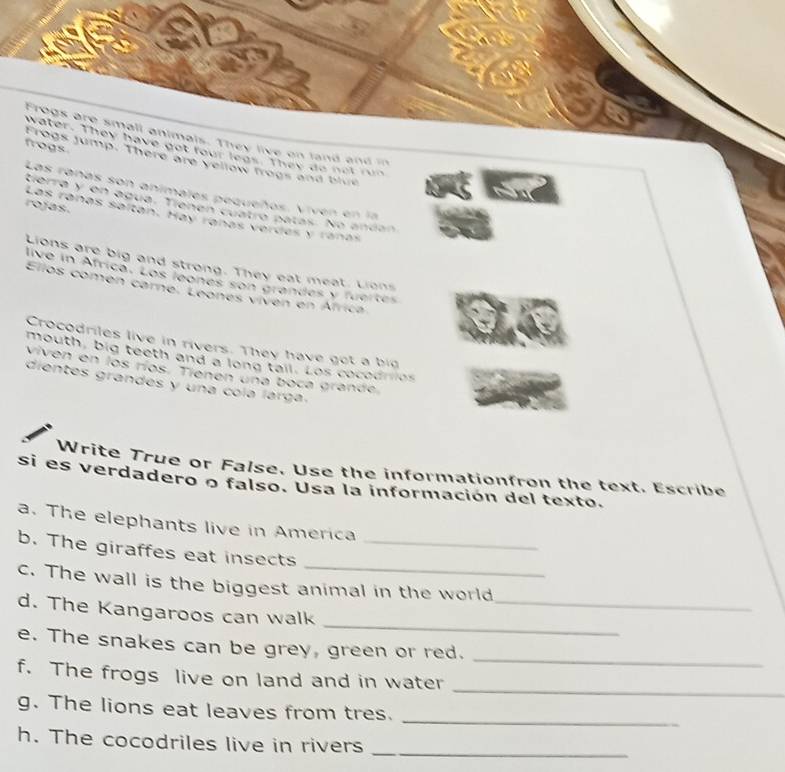 Frogs are small animals. They live on land and in 
water. They have got four legs. They do not run 
frogs Frogs jump. There are yellow frogs and blue 
Las rañas son anímales pequeños. Viven en la 
a 
tierra y en agua. Tíenen cuatró patas. No andan 
rojas. 
Las rañas saltán. Hay rañas verdas y ranas 
Lions are big and strong. They eat meat, Lions 
live in África. Los leones son grandes y fuertes 
Ellos comen carne, Leones vivén en África 
Crocodriles live in rivers. They have got a big 
mouth, big teeth and a long tail. Los cocodrios 
viven en los ríos. Tienen una boca grande 
dientes grandes y una cola larga. 
Write True or False. Use the informationfron the text. Escribe 
si es verdadero o falso. Usa la información del texto. 
a. The elephants live in America 
_ 
b. The giraffes eat insects_ 
c. The wall is the biggest animal in the world 
_ 
d. The Kangaroos can walk_ 
_ 
e. The snakes can be grey, green or red. 
_ 
f. The frogs live on land and in water 
_ 
g. The lions eat leaves from tres. 
h. The cocodriles live in rivers_