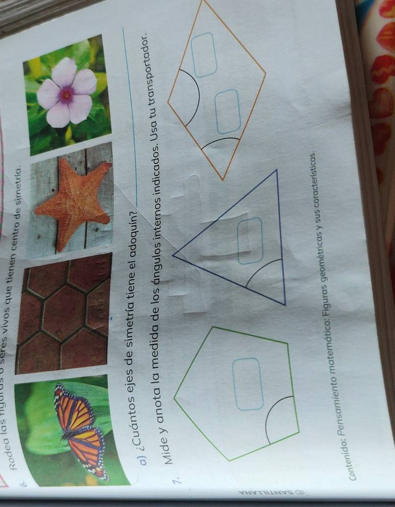 odea las riguras o seres vivos que tie 
a) ¿Cuántos ejes de simetría tiene el adoquín? 
_ 
7. Mide y anota la medida de los ángulos internos indicados. Usa tu transportador. 
1 
Contenido: Pensamiento matemático: Figuras geométricas y sus características.