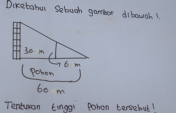 Diketahul Sebuah gambar dlbawah! 
pohon
60 m
Tentukan tingg! Pohon tersebut!