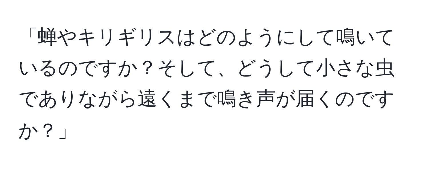 「蝉やキリギリスはどのようにして鳴いているのですか？そして、どうして小さな虫でありながら遠くまで鳴き声が届くのですか？」