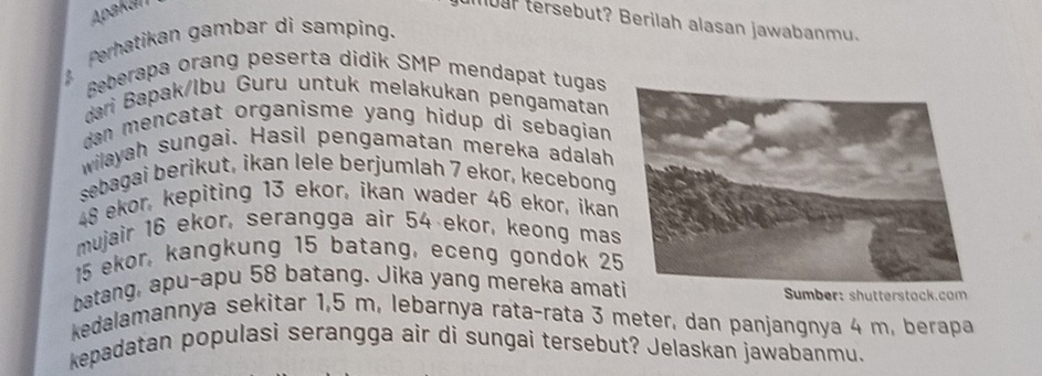 Apakan 
a tersebut? Berilah alasan jawabanm. 
Perhatikan gambar di samping. 
Beberapa orang peserta didik SMP mendapat tugas 
dari Bapak/lbu Guru untuk melakukan pengamatan 
dan mencatat organisme yang hidup di sebagian . 
wilayah sungai. Hasil pengamatan mereka adalah 
sebagai berikut, ikan lele berjumlah 7 ekor, kecebong
48 ekor, kepiting 13 ekor, ikan wader 46 ekor, ikan 
mujair 16 ekor, serangga air 54 ekor, keong mas
15 ekor, kangkung 15 batang, eceng gondok 2
batang, apu-apu 58 batang. Jika yang mereka amat Sumber: shutterstock.com 
kedalamannya sekitar 1,5 m, lebarnya rata-rata 3 meter, dan panjangnya 4 m, berapa 
kepadatan populasi serangga air di sungai tersebut? Jelaskan jawabanmu.