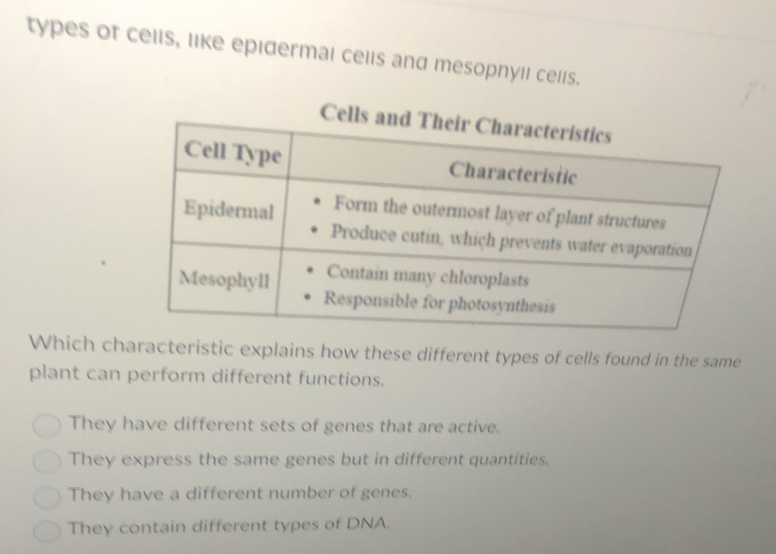 types of cells, like epidermal cells and mesophyil cells.
Which characteristic explains how these different types of cells found in the same
plant can perform different functions.
They have different sets of genes that are active.
They express the same genes but in different quantities.
They have a different number of genes.
They contain different types of DNA.