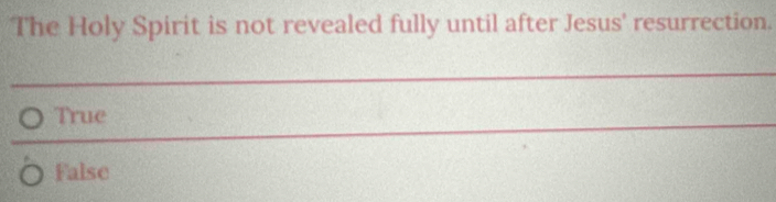 The Holy Spirit is not revealed fully until after Jesus' resurrection.
_
_
_
_
True
False