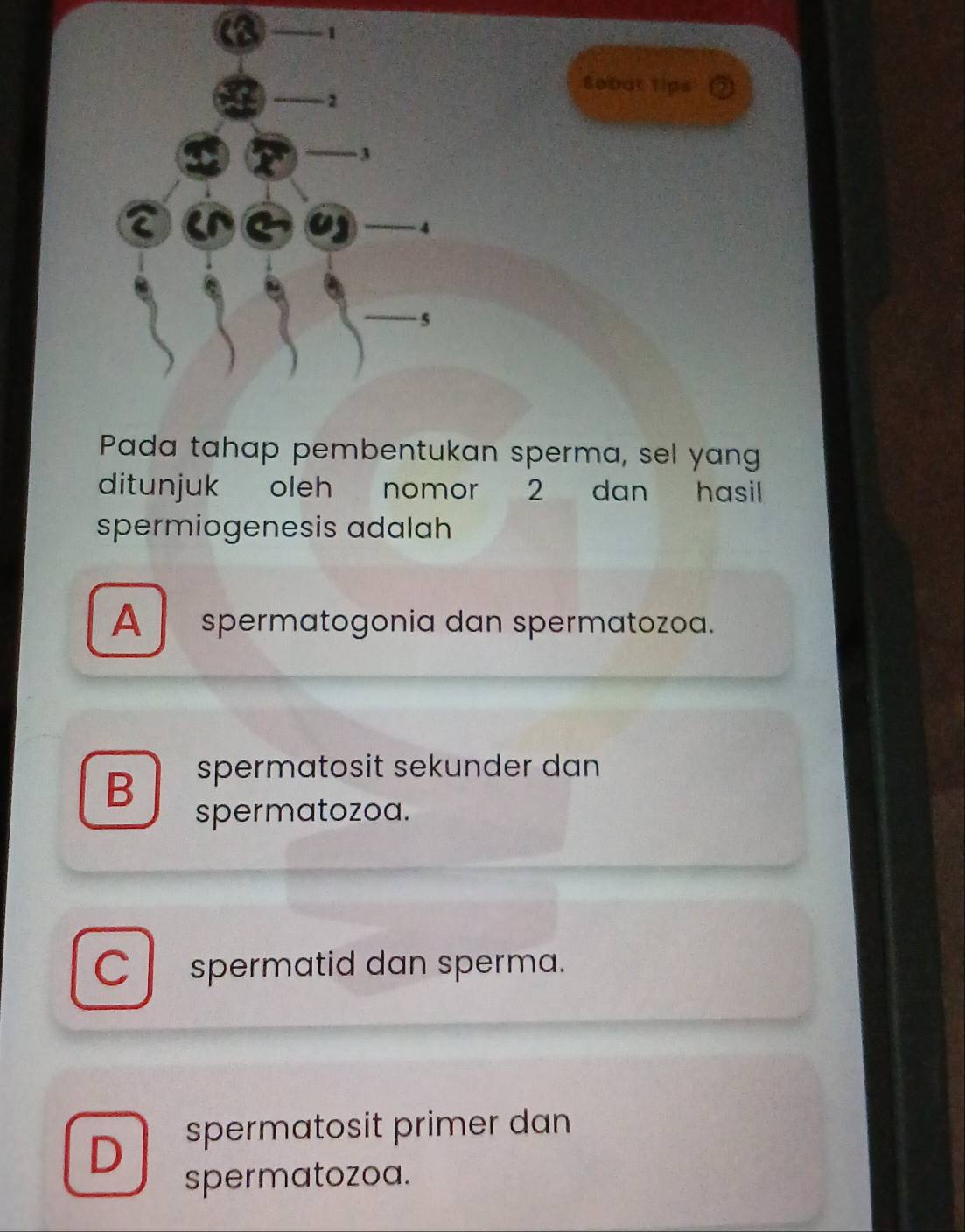 Sobut tips 22
Pada tahap pembentukan sperma, sel yang
ditunjuk oleh nomor 2 dan hasil
spermiogenesis adalah
A spermatogonia dan spermatozoa.
B spermatosit sekunder dan
spermatozoa.
C l spermatid dan sperma.
D spermatosit primer dan
spermatozoa.