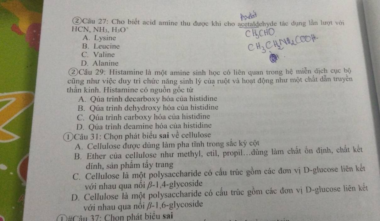 ②Câu 27: Cho biết acid amine thu được khi cho acetaldehyde tác dụng lần lượt với
HCN, NH₃, H_3O^+
A. Lysine
B. Leucine
C. Valine
D. Alanine
②Câu 29: Histamine là một amine sinh học có liên quan trong hệ miễn dịch cục bộ
cũng như việc duy trì chức năng sinh lý của ruột và hoạt động như một chất dẫn truyền
thần kinh. Histamine có nguồn gốc từ
A. Qúa trình decarboxy hóa của histidine
B. Qúa trình dehydroxy hóa của histidine
C. Qúa trình carboxy hóa của histidine
D. Qúa trình deamine hóa của histidine
① Câu 31: Chọn phát biểu sai về cellulose
A. Cellulose được dùng làm pha tĩnh trong sắc ký cột
B. Ether của cellulose như methyl, etil, propil..dùng làm chất ổn định, chất kết
dính, sản phầm tẩy trang
C. Cellulose là một polysaccharide có cấu trúc gồm các đơn vị D-glucose liên kết
với nhau qua nổi β-1, 4-glycoside
D. Cellulose là một polysaccharide có cấu trúc gồm các đơn vị D-glucose liên kết
với nhau qua nổi β-1, 6-glycoside
D#Câu 37: Chon phát biểu sai