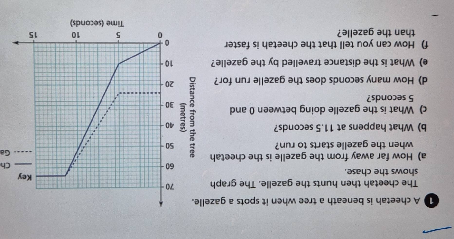 A cheetah is beneath a tree when it spots a gazelle. 
The cheetah then hunts the gazelle. The graph 
shows the chase. 
Ch 
a) How far away from the gazelle is the cheetah 
Ga 
when the gazelle starts to run? 
b) What happens at 11.5 seconds? 
c) What is the gazelle doing between 0 and
5 seconds? 
d) How many seconds does the gazelle run for? 
5 
e) What is the distance travelled by the gazelle? 
f) How can you tell that the cheetah is faster 
than the gazelle?