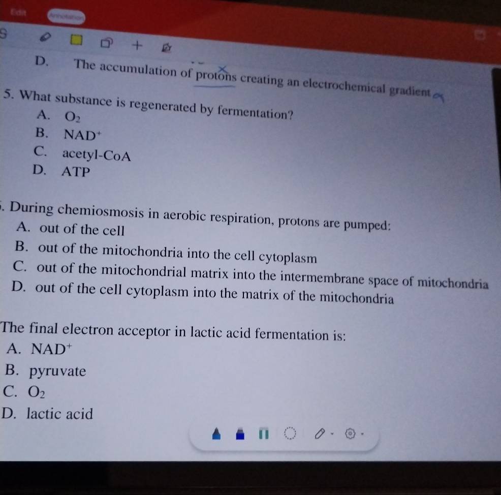 Edi Anhotation
+
D. The accumulation of protons creating an electrochemical gradient
5. What substance is regenerated by fermentation?
A. O_2
B. NAD*
C. acetyl-CoA
D. ATP
5. During chemiosmosis in aerobic respiration, protons are pumped:
A. out of the cell
B. out of the mitochondria into the cell cytoplasm
C. out of the mitochondrial matrix into the intermembrane space of mitochondria
D. out of the cell cytoplasm into the matrix of the mitochondria
The final electron acceptor in lactic acid fermentation is:
A. NAD^+
B. pyruvate
C. O_2
D. lactic acid