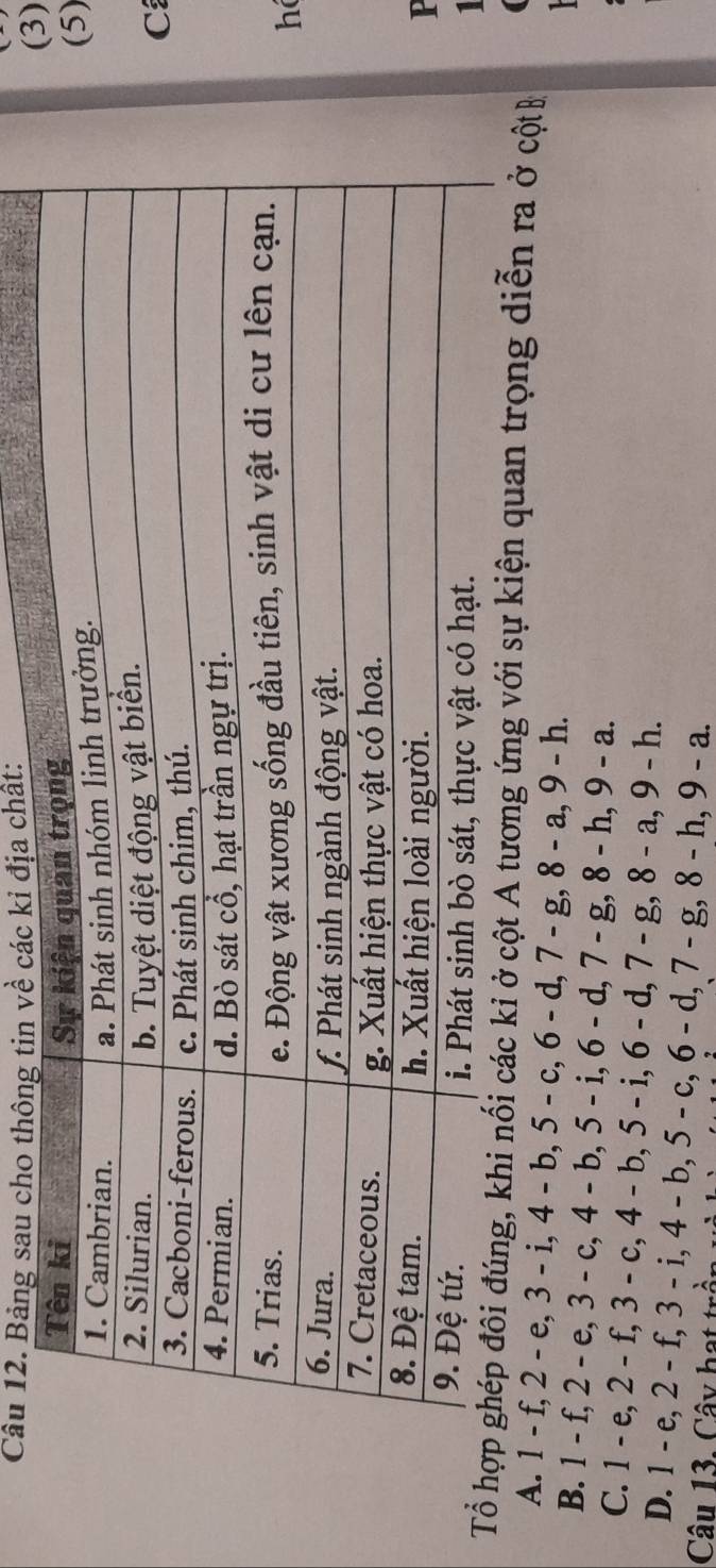 Bảng sau cho thông tin về các kỉ địa chất:
(3)
(5)
C
hé
P
1
Tổ diễn ra ở cộtB
A. 1 - f, 2 - e, 3 - i, 4 - b, 5 - c, 6 - d, 7-g, 8-a, 9-h.
B. 1 - f, 2 - e, 3 - c, 4 - b, 5 - i, 6 - d, 7 - g, 8-h, 9-a.
C. 1 - e, 2 - f, 3 - c, 4 - b, 5 - i, 6 - d, 7 - g, 8-a, 9-h.
D. 1 - e, 2 - f, 
Câu 13. Cây hạt trần v 3-i, 4-b, 5-c, 6-d, 7-g, 8-h, 9-a.
