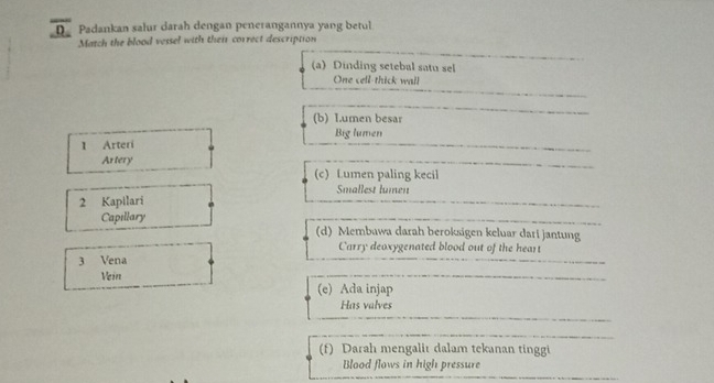 Padankan salur darah dengan penerangannya yang betul
Match the blood vessel with their correct description
(a) Dinding setebal satu sel
One cell-thick wall
(b) Lumen besar
Big lumen
1 Arteri
Artery (c) Lumen paling kecil
Smallest lumen
2 Kapilari
Capıllary (d) Membawa darah beroksigen keluar dari jantung
Carry deoxygenated blood out of the heart
3 Vena
Vein
(e) Ada injap
Has valves
(f) Darah mengalir dalam tekanan tinggi
Blood flows in high pressure