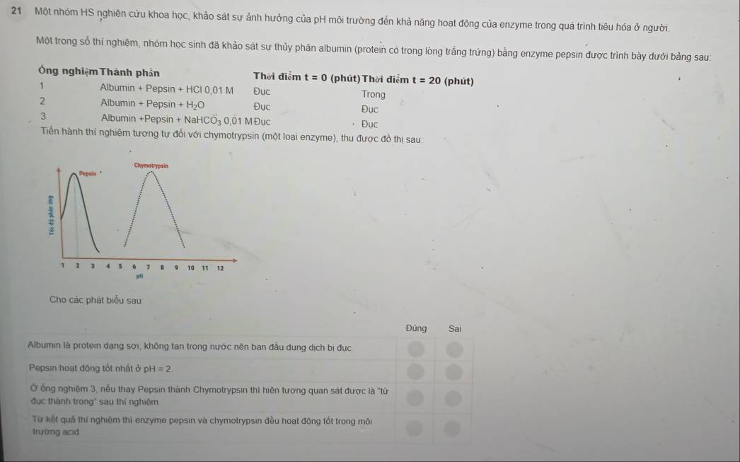 Một nhóm HS nghiên cứu khoa học, khảo sát sự ảnh hưởng của pH môi trường đến khả năng hoạt động của enzyme trong quá trình tiêu hóa ở người. 
Một trong số thí nghiệm, nhóm học sinh đã khảo sát sư thủy phân albumin (protein có trong lòng trắng trứng) bằng enzyme pepsin được trình bày dưới bảng sau: 
Ông nghiệm Thành phần Thời điểm t=0 (phút) Thời điểm t=20 (phút) 
1 Albumin +P psin +HCl0,01M Đuc Trong 
2 Albumin +Pepsin +H_2O Đục Đục 
3 Albumin +Pepsit +NaHCO_30.01MDuc Đục 
Tiền hành thí nghiệm tương tự đổi với chymotrypsin (một loại enzyme), thu được đồ thị sau: 
Cho các phát biểu sau 
Đúng Sai 
Albumin là protein dang sơi, không tan trong nước nên ban đầu dung dịch bị đục 
Pepsin hoạt động tốt nhất ở pH =2
Ở ổng nghiệm 3, nều thay Pepsin thành Chymotrypsin thì hiện tương quan sát được là "từ 
đục thành trong' sau thí nghiệm 
Từ kết quả thí nghiệm thì enzyme pepsin và chymotrypsin đều hoạt đông tốt trong môi 
trường acid