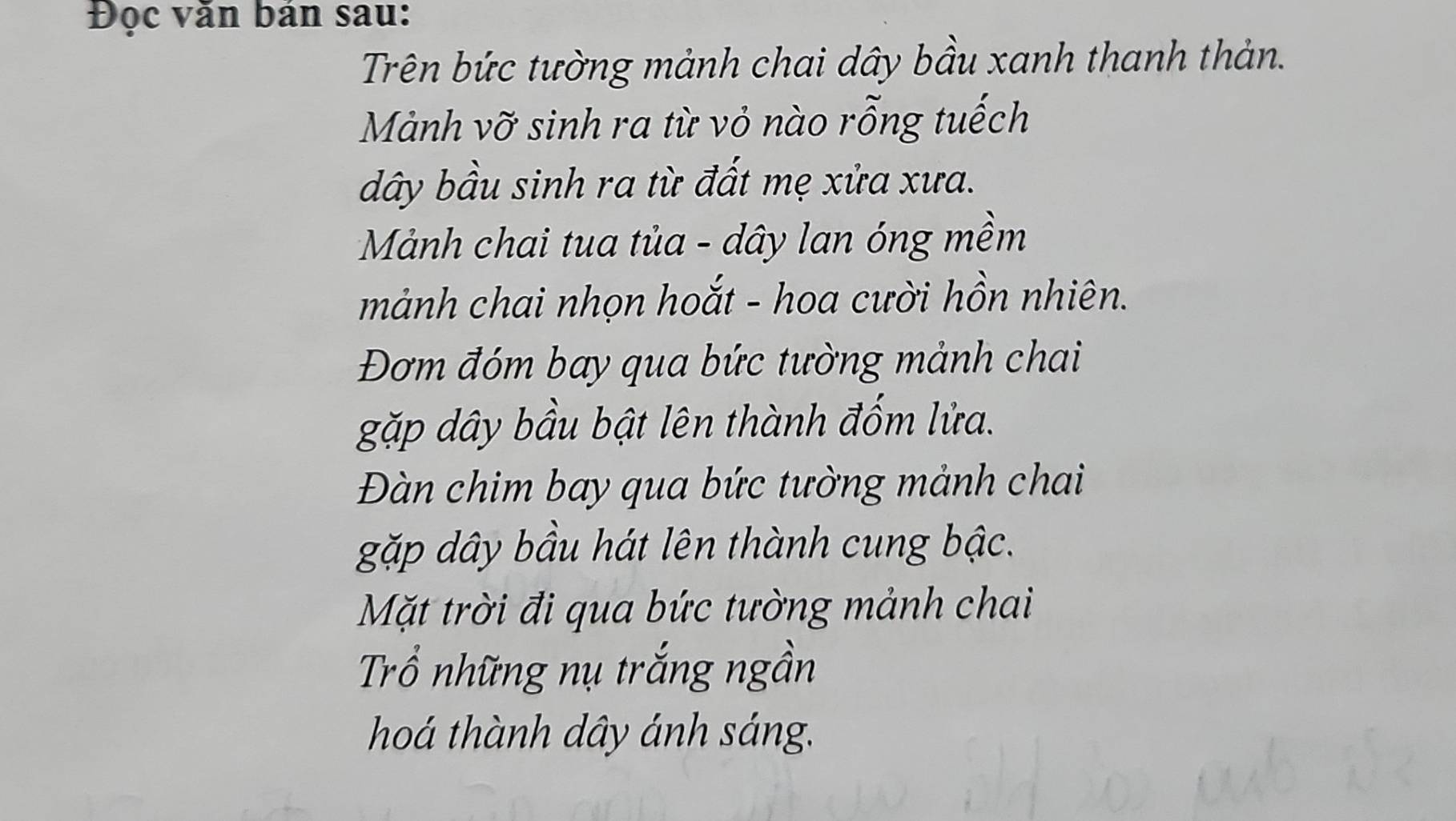 Đọc văn bán sau: 
Trên bức tường mảnh chai dây bầu xanh thanh thản. 
Mảnh vỡ sinh ra từ vỏ nào rỗng tuếch 
dây bầu sinh ra từ đất mẹ xửa xưa. 
Mảnh chai tua tủa - dây lan óng mềm 
mảnh chai nhọn hoắt - hoa cười hồn nhiên. 
Đơm đóm bay qua bức tường mảnh chai 
gặp dây bầu bật lên thành đốm lửa. 
Đàn chim bay qua bức tường mảnh chai 
gặp dây bầu hát lên thành cung bậc. 
Mặt trời đi qua bức tường mảnh chai 
Trổ những nụ trắng ngần 
hoá thành dây ánh sáng.