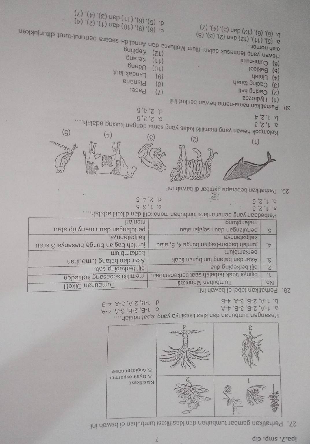 ipa.7. smp. clp 7
27. Perhatikan gambar tumbuhan dan klasifikasi tumbuhan di bawah ini!
Klasifikasi:
2
A. Gymnospermae
B. Angiospermae
3
4
Pasangan tumbuhan dan klasifikasinya yang tepat adalah....
a. 1-A, 2-B, 3-B, 4-A c. 1-B, 2-B, 3-A, 4-A
b. 1-A, 2-B, 3-A, 4-B d. 1-B, 2-A, 3-A, 4-B
h....
a. 1, 2, 3 c. 1, 3, 5
b. 1, 2, 5 d. 2, 4, 5
29. Perhatikan beberapa gambar di bawah ini!
(1)
(2)
(3) (4) (5)
Kelompok hewan yang memiliki kelas yang sama dengan kucing adalah....
a. 1, 2, 3 c. 2, 3, 5
b. 1, 2, 4 d. 2, 4, 5
30. Perhatikan nama-nama hewan berikut ini!
(1) Hydrozoa (7) Pacet
(2) Cacing hati (8) Planaria
(3) Cacing tanah (9) Landak laut
(4) Lintah (10) Udang
(5) Bekicot
(6) Cumi-cumi
(11) Kerang
(12) Kepiting
oleh nomor...
Hewan yang termasuk dalam filum Mollusca dan Annelida secara berturut-turut ditunjukkan
a. (5),(11),(12) dan (2), (3), (8) c. (6), (9)   dan (1), (2), (4)
(10)
b. (5), (6), (12 dan (3), (4), (7) d. (5) (6),(11) dan (3), (4), (7)