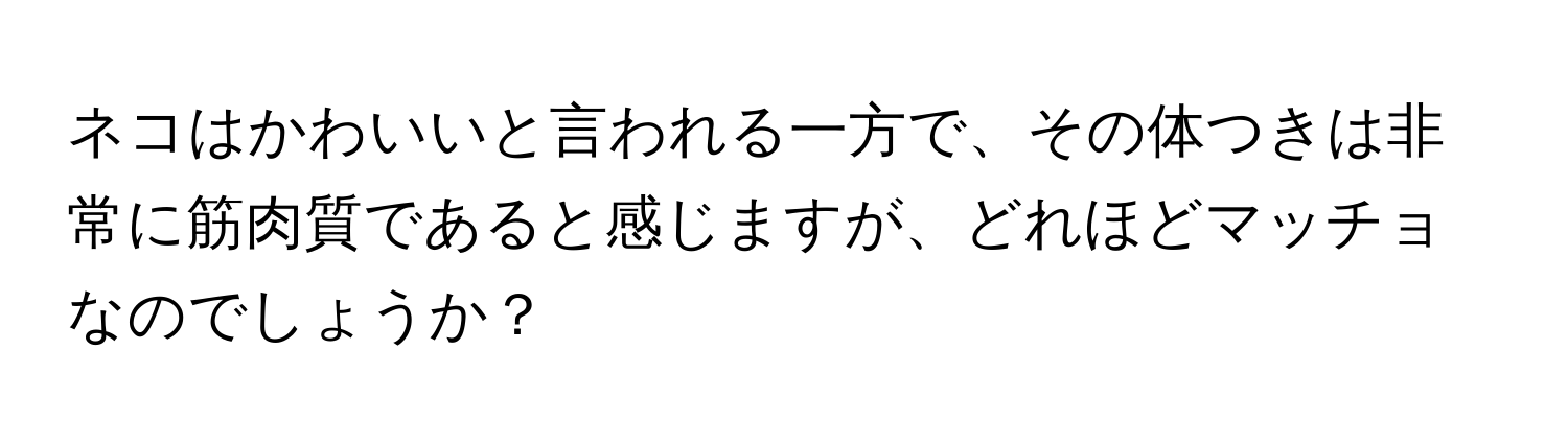 ネコはかわいいと言われる一方で、その体つきは非常に筋肉質であると感じますが、どれほどマッチョなのでしょうか？