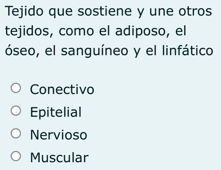 Tejido que sostiene y une otros
tejidos, como el adiposo, el
óseo, el sanguíneo y el linfático
Conectivo
Epitelial
Nervioso
Muscular