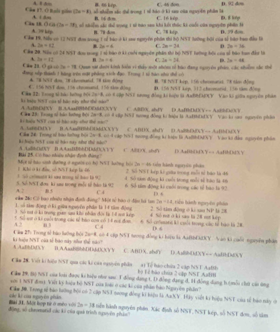 A. 8 den B. 46 kep. C. 46 đon D. 92 don
Câu 17. Ô Ruồi giám (2a-8) số nhiểm sắc thể trong 1 tế báo ở kì sau của nguyên phân là
A. I don B. 16 đim C. 16 kép D. 8 lotp
Cân 18. OGS(2n=38) , số nhiễm sắc thể trong 1 tế báo sau khi kết thúc kì cuối của nguyên phần là
A. 39 kép. B. 78 don. C. 78 kép. D. 39 dcm.
Cầu 19. Nếu có 12 NST đơn trong 1 tể báo ở ki sau nguyên phần thi bộ NST lưỡng bội của tế bão ban đầu là
A. 2n=12 B. 2n=6 C. 2n=24 D. 2n=36
Cầu 20. Nều có 24 NST đơu trong 1 sế bào ở kì cuối nguyên phần thi bộ NST lướng bội của tế bão ban đấu là
A. 2n=12 B. 2n=6 C. 2n=24. D. 2n=48
Cầu 21. Ô gà có 2n-78 Quan sát duới kính hiện vì thấy một nhóm tế báo đang nguyên phân, các nhiễm sắc thể
đang xếp thành 1 hàng trên mặt pháng sích đạo. Trong 1 tế bào như thể có
A. 78 NST đơn, 78 chromatid, 78 tâm động B. 78 NST kép, 156 chromatid. 78 tầm động
C. 156 NST đơn, 156 chromatid, 156 tâm động D. 156 NST kép, 312 chromatid, 156 tâm động
Câu 22: Trong tế háo lưỡng bội 2a=8 A có C cập NST tượng đồng ki luệu là AxBbĐdXY Vào ki giữa nguyên phân
ki biệu NST của tế bảo này như thè nào?
A AaBbDdXY B.AAaaBBbbDDddXXYY C. ABDX. ahdY D AaBbDdXY+ AaBbDcXY
Cầu 23: Trong tế bảo lướng bội 2n=8 3. có 4 cập NST tương đồng kí hiệu là AaBbDdXY Vào ki sau nguyên phân
ki hiệu NST của tế bào này như thể nào?
A.AaBbDdXY 8.AAaaBBbbDDddXXYY C ABDX.ahdY D.AaBbDdXY-- AaBbDdXY
Cầu 24: Trong rế bào lưỡng bội 2n~8, có 4 cập NST tương động kí hiệu là AaBbDdXY Vào ki đầu nguyên phân
ki Jiệu NST của tế báo nay như thế nào?
A.AaBbDdXY B.AAaaBBbbDDddXXYY C. ABDX. abdY D.AaBbDdXY→ AaBbDdXY
Bài 25. Có bao nhiều nhận định đùng?
Một tẻ háo sinh dưỡng ở người có bộ NST lường bội 2n=46 tiên hành nguyên phān
1 Khi ở kị đầu, số NST kép là 46 2 Số NST kếp kỉ giữa trong mỗi tế bào là 46
3 Số crômatit ki sau trong tế bào là 92 4. Số tâm động ki cuối trong mỗi tế bào là 46
5. Số NST đơn kì sau trong mỗi tế bào là 92 6 Số tâm động ki cuối trong các tế bào là 92
A 2 B.5 C.4 D. 6
câu 26: Cố bao nhiều nhận định đùng? Một tế bao ở đầu há lan 2n=14 , tiển hành nguyên phân
1 số tâm động ở ki giữa nguyên phân là 14 tâm động 2. Số tâm động ở kì sau NP là 28
3. Số nst ở ki trung gian sau khi nhân đỏi là 14 nst kếp 4 Số nst ở ki sau là 28 nst kép
5. Số ust ở kỉ cuối trong các tế bảo con có 14 nst đơn 6. Sổ crômatii kì cuối trong các tế báo là 28.
A 2 B.3 C.4 D 6
Câu 27: Trong tế bảo lưỡng bội 2n=8 , có 4 cập NST tương đồng kí hiệu là AaBbDdXY. Vào ki cuối nguyễn phần
ki hiệu NST của tế bào này như thể nào?
A AaBbDdXY B.AAaaBBbbDDddXXYY C. ABDX. abdY D.AaBbDdXY← AaBbDdXY
Cân 28. Viết kí hiệu NST qua các kí của nguyễn phần a) Tế báo chứa 2 cập NST AaBb
b) Tẻ bảo chứa 2 cập NST AaBB
Câu 29, Bộ NST của loài được kí hiệu như sau. T đồng dạng t, D đồng dạng đ, H động dạng h (mỗi chữ cái ủng
với 1 NST đơn). Viết kỹ hiệu bộ NST của loài ở các ki của phần bảo Nguyên phần?
Cầu 30. Trong tế bão lưỡng bội có 2 cập NST tương đồng kí hiệu là AaXY. Hãy viết kỉ hiệu NST của tế báo này ở
các kì của nguyên phản
Bài 31. Một hợp tử ở mèo với 2n=38 tiên hành nguyên phân. Xác định số NST, NST kép, số NST đơn, số tâm
động, số chromatid các ki của quá trình nguyên phân?