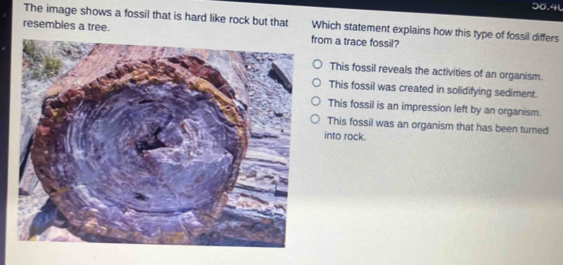 Solved: 36.4 The image shows a fossil that is hard like rock but that ...