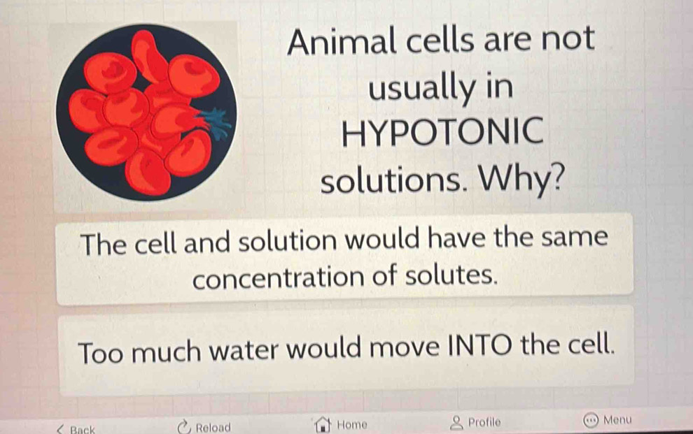 Animal cells are not
usually in
HYPOTONIC
solutions. Why?
The cell and solution would have the same
concentration of solutes.
Too much water would move INTO the cell.
ack Reload Home Profile Menu