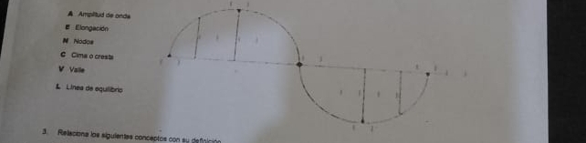 A Ampillud de onda
E Elongación
N Nodos
C Cima o crest
V Valle
L Línea de equilibrio
3. Relaciona los siguientes conceptos con su defnición