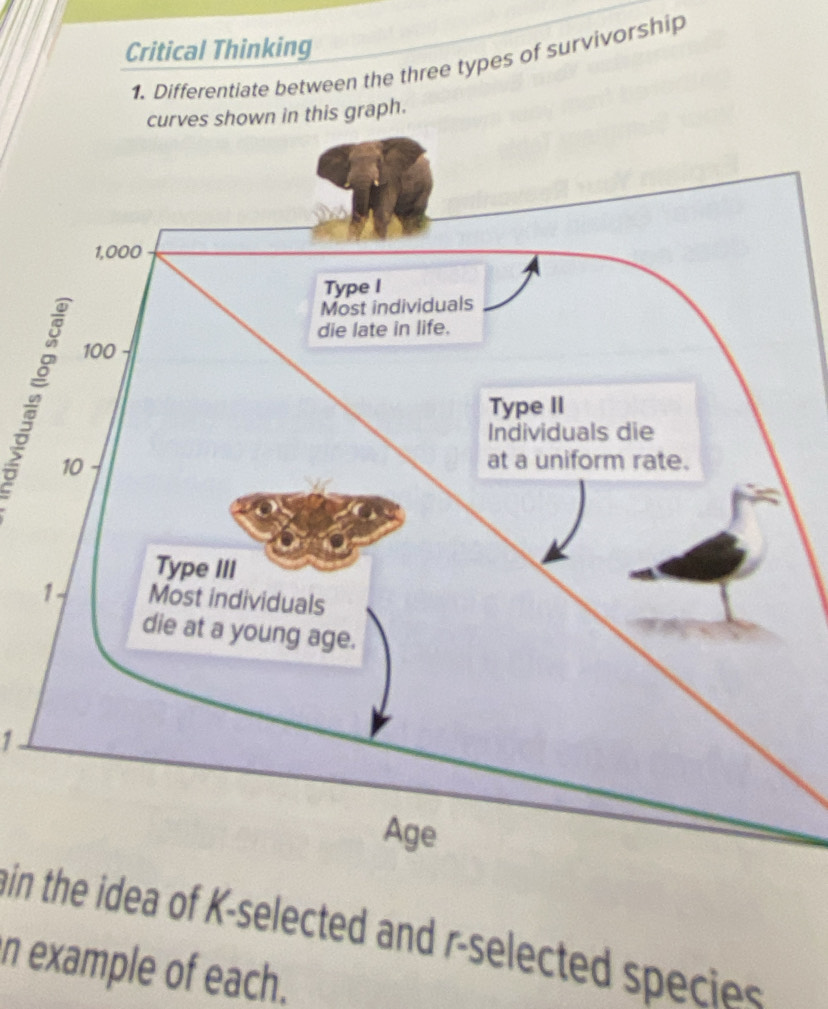 Critical Thinking 
1. Differentiate between the three types of survivorship 
own in this graph. 
1 . 
hin the idea of K -selected and r -selected species. 
n example of each.