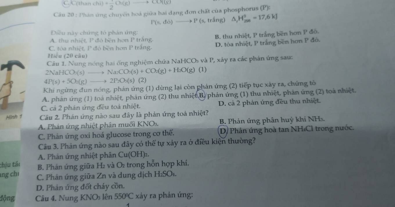 C. C(than chi) + 1/2 O:(g)to CO((g)
Câu 20 : Phán ứng chuyến hoá giữa hai dạng đơn chất của phosphorus (P):
P(s,do)to P (s, trắng) △ _rH_(298)^o=17,6kJ
Điều này chứng tỏ phản ứng:
A. thu nhiệt, P đó bền hơn P trắng.
B. thu nhiệt, P trắng bên hơn P đỏ.
C. tòa nhiệt, P đỏ bền hơn P trắng.
D. tỏa nhiệt, P trắng bên hơn P đỏ.
Hiểu (20 câu)
Câu 1. Nung nóng hai ống nghiệm chứa NaHCO₃ và P, xảy ra các phản ứng sau:
2NaHCO_3(s)to Na_2CO_3(s)+CO_2(g)+H_2O(g) (1)
4P(s)+5O_2(g)to 2P_2O_5(s) (2)
Khi ngừng đun nóng, phản ứng (1) dừng lại còn phản ứng (2) tiếp tục xảy ra, chứng tỏ
A. phản ứng (1) toả nhiệt, phản ứng (2) thu nhiệt B/ phản ứng (1) thu nhiệt, phản ứng (2) toả nhiệt.
C. cả 2 phản ứng đều toả nhiệt. D. cả 2 phản ứng đều thu nhiệt.
Hình 1 Câu 2. Phản ứng nào sau đây là phản ứng toả nhiệt?
A. Phản ứng nhiệt phân muối KNO₃.  B. Phản ứng phân huỷ khí NH.
C. Phản ứng oxi hoá glucose trong cơ thể. D. Phản ứng hoà tan NH₄Cl trong nước.
Câu 3. Phản ứng nào sau đây có thể tự xảy ra ở điều kiện thường?
A. Phản ứng nhiệt phân Cu(OH )2.
thịu tác B. Phản ứng giữa H₂ và O_2 trong hỗn hợp khí.
ng chỉ C. Phản ứng giữa Zn và dung dịch H_2SO_4.
D. Phản ứng đốt cháy cồn.
động  Câu 4. Nung K NO_3 lên 550°C xảy ra phản ứng: