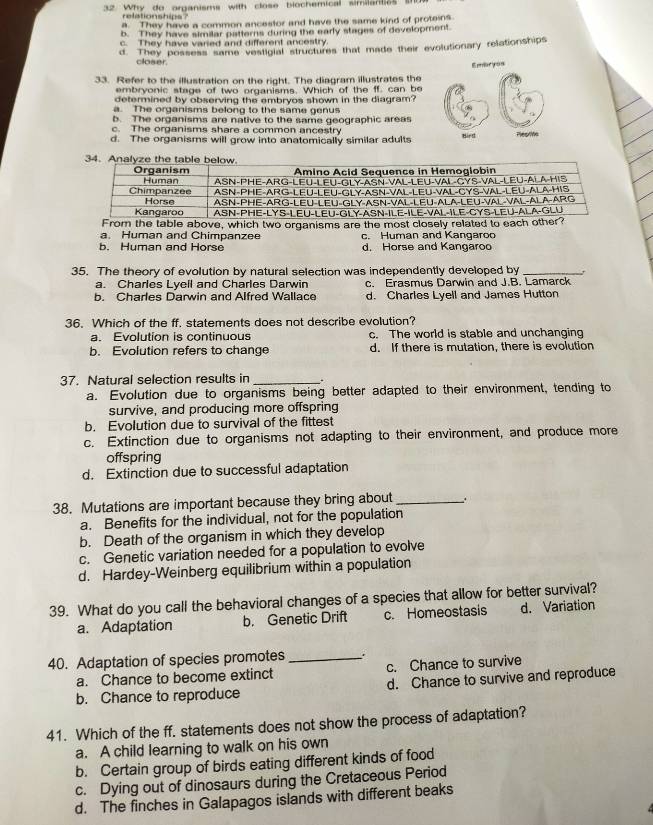 Why do organisms with close biochemical similantics s
relationships ?
a. They have a common ancestor and have the same kind of proteins
b. They have similar patterns during the early stages of development.
c. They have varied and different ancestry.
d. They possess same vestigial structures that made their evolutionary relationships
closer.
33. Refer to the illustration on the right. The diagram illustrates the 
embryonic stage of two organisms. Which of the ff. can be
determined by observing the embryos shown in the diagram?
a. The organisms belong to the same genus
b. The organisms are native to the same geographic areas
c. The organisms share a common ancestry
d. The organisms will grow into anatomically similar adults
From the table above, which two organisms are the most closely related to each other?
a. Human and Chimpanzee c. Human and Kangaroc
b. Human and Horse d. Horse and Kangaroo
35. The theory of evolution by natural selection was independently developed by_
a. Charles Lvell and Charles Darwin c. Erasmus Darwin and J.B. Lamarck
b. Charles Darwin and Alfred Wallace d. Charles Lyell and James Hutton
36. Which of the ff, statements does not describe evolution?
a. Evolution is continuous c. The world is stable and unchanging
b. Evolution refers to change d. If there is mutation, there is evolution
37. Natural selection results in _..
a. Evolution due to organisms being better adapted to their environment, tending to
survive, and producing more offspring
b. Evolution due to survival of the fittest
c. Extinction due to organisms not adapting to their environment, and produce more
offspring
d. Extinction due to successful adaptation
38. Mutations are important because they bring about_ 、.
a. Benefits for the individual, not for the population
b. Death of the organism in which they develop
c. Genetic variation needed for a population to evolve
d. Hardey-Weinberg equilibrium within a population
39. What do you call the behavioral changes of a species that allow for better survival?
a. Adaptation b. Genetic Drift c. Homeostasis d. Variation
40. Adaptation of species promotes_
a. Chance to become extinct c. Chance to survive
b. Chance to reproduce d. Chance to survive and reproduce
41. Which of the ff. statements does not show the process of adaptation?
a. A child learning to walk on his own
b. Certain group of birds eating different kinds of food
c. Dying out of dinosaurs during the Cretaceous Period
d. The finches in Galapagos islands with different beaks