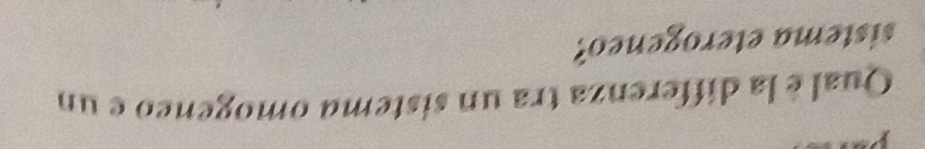 Qual è la differenza tra un sistema omogeneo e un 
sistema eterogeneo?