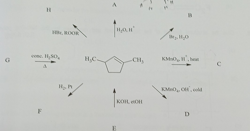 A A r
H
B
HBr, ROOR
H_2O,H^+
Br_2,H_2O
G conc H_2SO_4
KMnO_4,H^+, , heat^(C
H_2),Pt
KMnO_4,OH^- , cold
KOH I, etOH
F
D
E