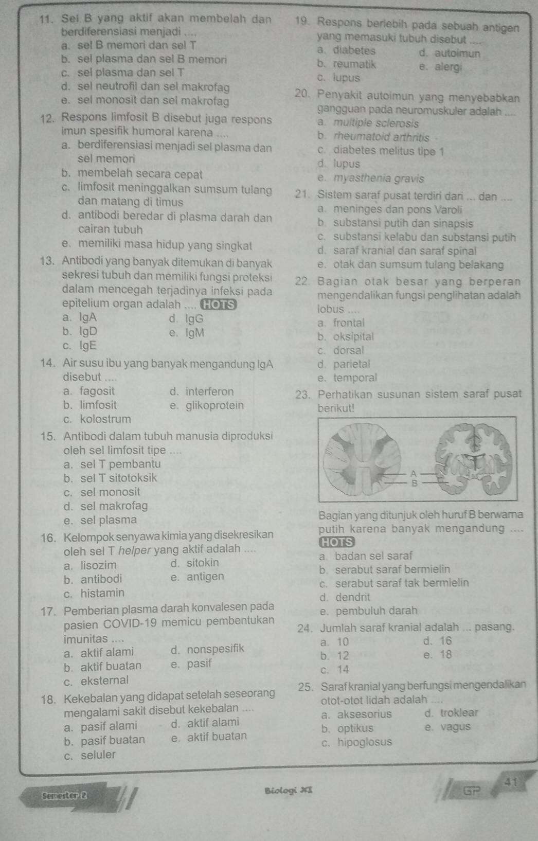 Sel B yang aktif akan membelah dan 19. Respons berlebih pada sebuah antigen
berdiferensiasi menjadi .... yang memasuki tubuh disebut_
a. sel B memori dan se! T a、 diabetes d. autoimun
b. sel plasma dan sel B memori b. reumatik e. alerg
c. sel plasma dan sel T c. lupus
d. sel neutrofil dan sel makrofag 20. Penyakit autoimun yang menyebabkan
e. sel monosit dan sel makrofag
gangguan pada neuromuskuler adalah_
12. Respons limfosit B disebut juga respons a. multiple sclerosis
imun spesifik humoral karena b. rheumatoid arthritis
a. berdiferensiasi menjadi sel plasma dan c. diabetes melitus tipe 1
sel memori d. lupus
b. membelah secara cepat e. myasthenia gravis
c. limfosit meninggalkan sumsum tulang 21. Sistem saraf pusat terdiri dari ... dan ....
dan matang di timus
a. meninges dan pons Varoli
d. antibodi beredar di plasma darah dan b substansi putih dan sinapsis
cairan tubuh c. substansi kelabu dan substansi putih
e. memiliki masa hidup yang singkat d. saraf kranial dan saraf spinal
13. Antibodi yang banyak ditemukan di banyak e. otak dan sumsum tulang belakang
sekresi tubuh dan memiliki fungsi proteks 22. Bagian otak besar yang berperan
dalam mencegah terjadinya infeksi pada mengendalikan fungsi penglihatan adalah
epitelium organ adalah .... HOTS lobus ....
a. IgA d、IgG a. frontal
b. lgD e、 IgM b. oksipital
c. lgE
c. dorsal
14. Air susu ibu yang banyak mengandung IgA d. parietal
disebut .... e. temporal
a. fagosit d. interferon 23. Perhatikan susunan sistem saraf pusat
b.limfosit e. glikoprotein berikut!
c. kolostrum
15. Antibodi dalam tubuh manusia diproduksi
oleh sel limfosit tipe ....
a. sel T pembantu
b. sel T sitotoksik
c. sel monosit
d. sel makrofag
e. sel plasma Bagian yang ditunjuk oleh huruf B berwama
16. Kelompok senyawa kimia yang disekresikan putih karena banyak mengandung ....
HOTS
oleh sel T helper yang aktif adalah
a badan sel saraf
a. lisozim d.sitokin
b. serabut saraf bermielin
b. antibodi e. antigen
c. serabut saraf tak bermielin
c. histamin d. dendrit
17. Pemberian plasma darah konvalesen pada e. pembuluh darah
pasien COVID-19 memicu pembentukan 24. Jumlah saraf kranial adalah ... pasang.
imunitas .... a. 10 d、16
a. aktif alami d. nonspesifik b. 12 e. 18
b. aktif buatan e. pasif c. 14
c. eksternal
18. Kekebalan yang didapat setelah seseorang 25. Saraf kranial yang berfungsi mengendalikan
otot-otot lidah adalah
mengalami sakit disebut kekebalan .... d. troklear
a. aksesorius
a. pasif alami d. aktif alami
b. optikus
b. pasif buatan e. aktif buatan e. vagus
c.hipoglosus
c.seluler
41
Semester 2 Biologi XI overline r^2