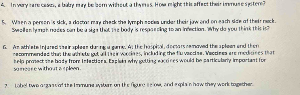 In very rare cases, a baby may be born without a thymus. How might this affect their immune system? 
5. When a person is sick, a doctor may check the lymph nodes under their jaw and on each side of their neck. 
Swollen lymph nodes can be a sign that the body is responding to an infection. Why do you think this is? 
6. An athlete injured their spleen during a game. At the hospital, doctors removed the spleen and then 
recommended that the athlete get all their vaccines, including the flu vaccine. Vaccines are medicines that 
help protect the body from infections. Explain why getting vaccines would be particularly important for 
someone without a spleen. 
7. Label two organs of the immune system on the figure below, and explain how they work together.