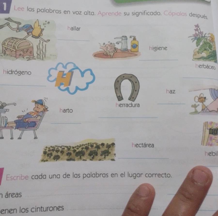 Lee las palabras en voz alta. Aprende su significado. Cópialas después. 
hallar 
_ 
higiene 
_ 
herbáceo 
_ 
hidrógeno 
_ 
haz 
herradura 
_ 
harto 
_ 
_ 
hectárea 
_ 
hebil 
Escribe cada una de las palabras en el lugar correcto. 
n áreas_ 
enen los cinturones_