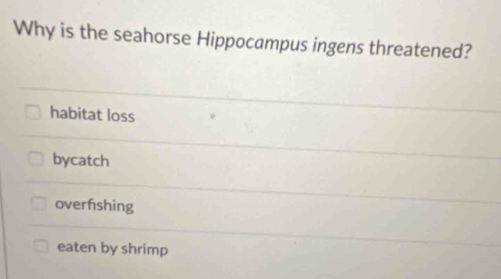 Why is the seahorse Hippocampus ingens threatened?
habitat loss
bycatch
overfishing
eaten by shrimp