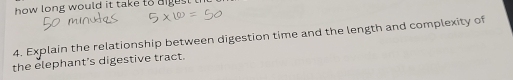 how long would it take to a gest . 
4. Explain the relationship between digestion time and the length and complexity of 
the elephant's digestive tract.