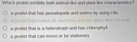 Which protist exhibits both animal-like and plant-like characteristics?
a protist that has pseudopods and swims by using cilia
a protist that makes its own food and has glass-like cell walls
a protist that is a heterotroph and has chlorophyll
a protist that can move or be stationary