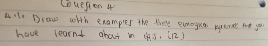 Questron 4" 
4 :1Draw with examples the three ecological pyramds that you 
have learnt about in cass. (12)