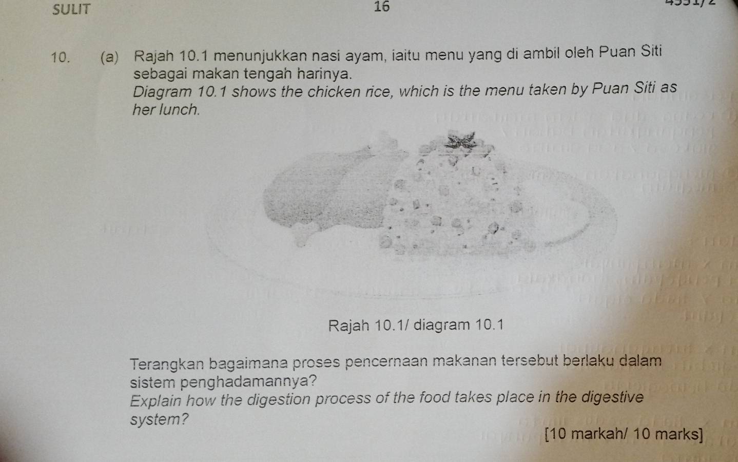 SULIT 16 
433 1/ 2 
10. (a) Rajah 10.1 menunjukkan nasi ayam, iaitu menu yang di ambil oleh Puan Siti 
sebagai makan tengah harinya. 
Diagram 10.1 shows the chicken rice, which is the menu taken by Puan Siti as 
her lunch. 
Rajah 10.1/ diagram 10.1 
Terangkan bagaimana proses pencernaan makanan tersebut berlaku dalam 
sistem penghadamannya? 
Explain how the digestion process of the food takes place in the digestive 
system? 
[10 markah/ 10 marks]