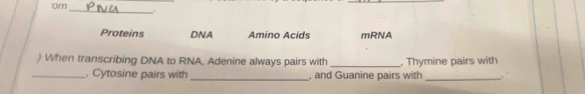 om
_.
Proteins DNA Amino Acids mRNA
) When transcribing DNA to RNA, Adenine always pairs with _, Thymine pairs with
_, Cytosine pairs with _, and Guanine pairs with _.