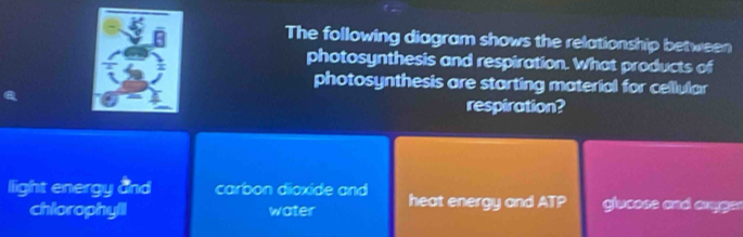 The following diagram shows the relationship between
photosynthesis and respiration. What products of
photosynthesis are starting material for cellular
respiration?
llight energy and carbon dioxide and heat energy and ATP glucose and ayger
chlorophyll water