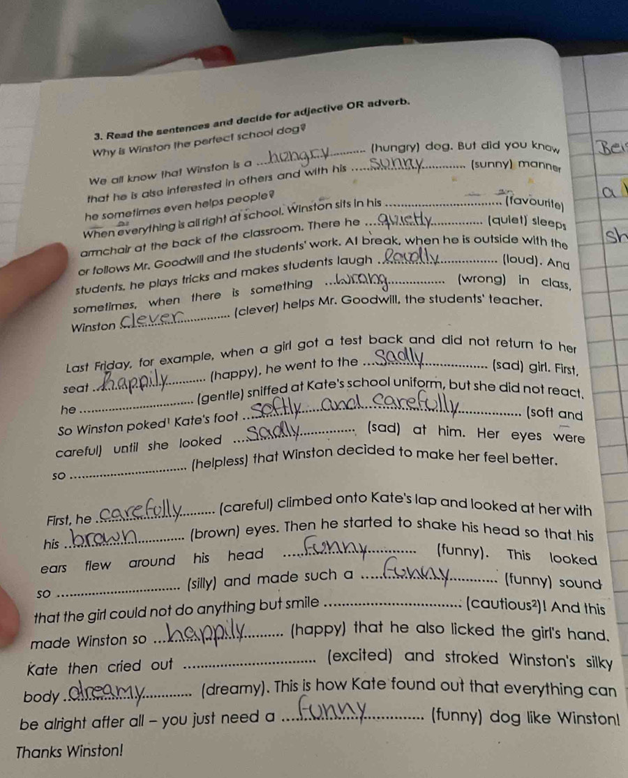 Read the sentences and decide for adjective OR adverb. 
Why is Winston the perfect school dog? 
(hungry) dog. But did you know 
We all know that Winston is a_ 
that he is also inferested in others and with his 
(sunny) manner 
he sometimes even helps people ? 
When everything is all right at school. Winston sits in his_ 
(favourite) 
armchair at the back of the classroom. There he_ 
(quiet) sleeps 
or follows Mr. Goodwill and the students' work. At break, when he is outside with the 
students, he plays tricks and makes students laugh . 
(loud). And 
sometimes, when there is something 
(wrong) in class, 
(clever) helps Mr. Goodwill, the students' teacher. 
Winston 
_ 
_ 
Last Friday, for example, when a girl got a test back and did not return to her 
(happy), he went to the 
(sad) girl. First, 
_ 
_ 
seat (gentle) sniffed at Kate's school uniform, but she did not react. 
So Winston poked' Kate's foot_ 
[soft and 
he (sad) at him. Her eyes were 
careful) until she looked 
(helpless) that Winston decided to make her feel better. 
so 
_ 
(careful) climbed onto Kate's lap and looked at her with 
First, he 
_ 
(brown) eyes. Then he started to shake his head so that his 
his 
_ 
ears flew around his head . 
_(funny). This looked 
so _(silly) and made such a_ 
(funny) sound 
that the girl could not do anything but smile_ 
(cautious²)! And this 
made Winston so 
_(happy) that he also licked the girl's hand. 
Kate then cried out 
_(excited) and stroked Winston's silky 
body ._ 
(dreamy). This is how Kate found out that everything can 
be alright after all - you just need a _(funny) dog like Winston! 
Thanks Winston!