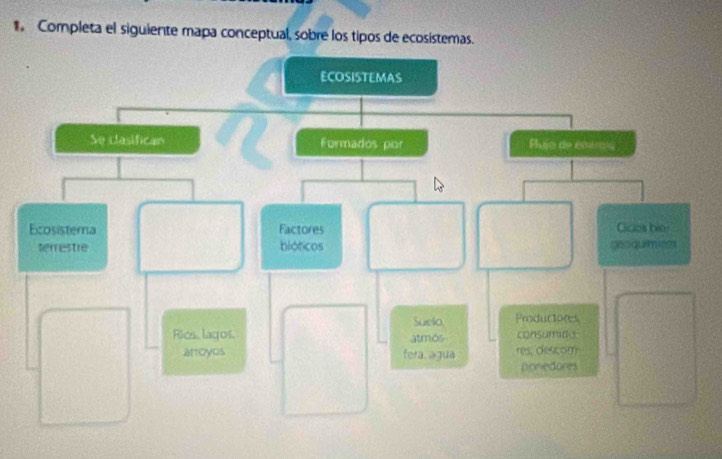 Solved: Completa el siguiente mapa conceptual, sobre los tipos de ...