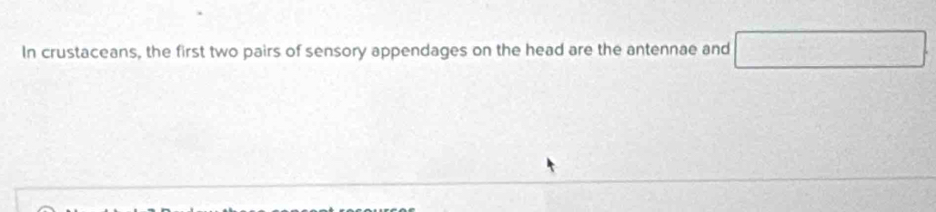 In crustaceans, the first two pairs of sensory appendages on the head are the antennae and x^(tan),)x -8=a+2  (2(x+1))/x^(2x+1) 