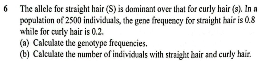 The allele for straight hair (S) is dominant over that for curly hair (s). In a 
population of 2500 individuals, the gene frequency for straight hair is 0.8
while for curly hair is 0.2. 
(a) Calculate the genotype frequencies. 
(b) Calculate the number of individuals with straight hair and curly hair.