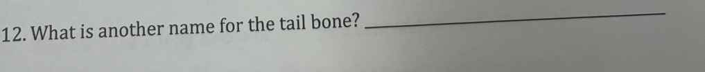 What is another name for the tail bone? 
_