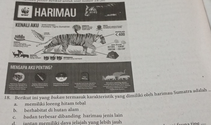 ber ik ut un tuk s a l nomor 18-20:
1eh harimau Sumatra adalah .
a. memiliki loreng hitam tebal
b. berhabitat di hutan alam
c. badan terbesar dibanding harimau jenis lain
d.jantan memiliki daya jelajah yang lebih jauh una tipe ...