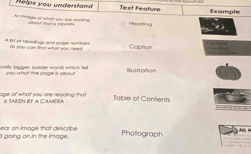 THE EXAMPLES! 
Helps you understand Text Feature Example 
An image of what you are reading Heading 
about that is DRAWN 
A list of headings and page numbers Caption A Sea Turthe! 
so you can find what you need Ocexo World 
Meet the Turtles' 
sually bigger, bolder words which tell Illustration 
you what the page is about 
age of what you are reading that? Table of Contents 
Is TAKEN BY A CAMERA 
ear an image that describe Photograph All A 
is going on in the image.