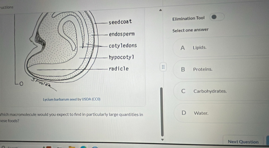 ructions
Elimination Tool
Select one answer
A Lipids.
B Proteins.
C Carbohydrates.
Lycium barbarum seed by USDA (CC0)
Which macromolecule would you expect to find in particularly large quantities in D Water.
nese foods?
Next Question