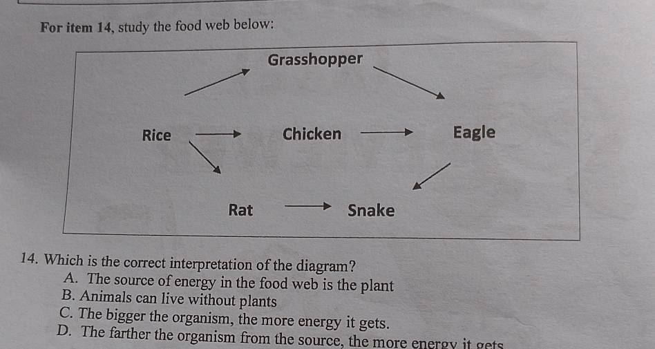 For item 14, study the food web below:
Grasshopper
Rice Chicken Eagle
Rat Snake
14. Which is the correct interpretation of the diagram?
A. The source of energy in the food web is the plant
B. Animals can live without plants
C. The bigger the organism, the more energy it gets.
D. The farther the organism from the source, the more energy it gets