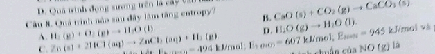 D. Quá trình động sương trên là cây văn
Câu 8. Quá trình nào sau đây lâm tăng entropy? CaO(s)+CO_2(g)to CaCO_3(s)
B.
A. H_2(g)+O_2(g)to H_2O(l) Zn(s)+2HCl(aq)to ZnCl_2(aq)+H_2(g). _ =494kJ/mol; E_6000=607kJ/mol; E_k=8=945 D. H_2O(g)to H_2O(l). kJ/mo |v2
C.
chuẩn của NO(g) 1: