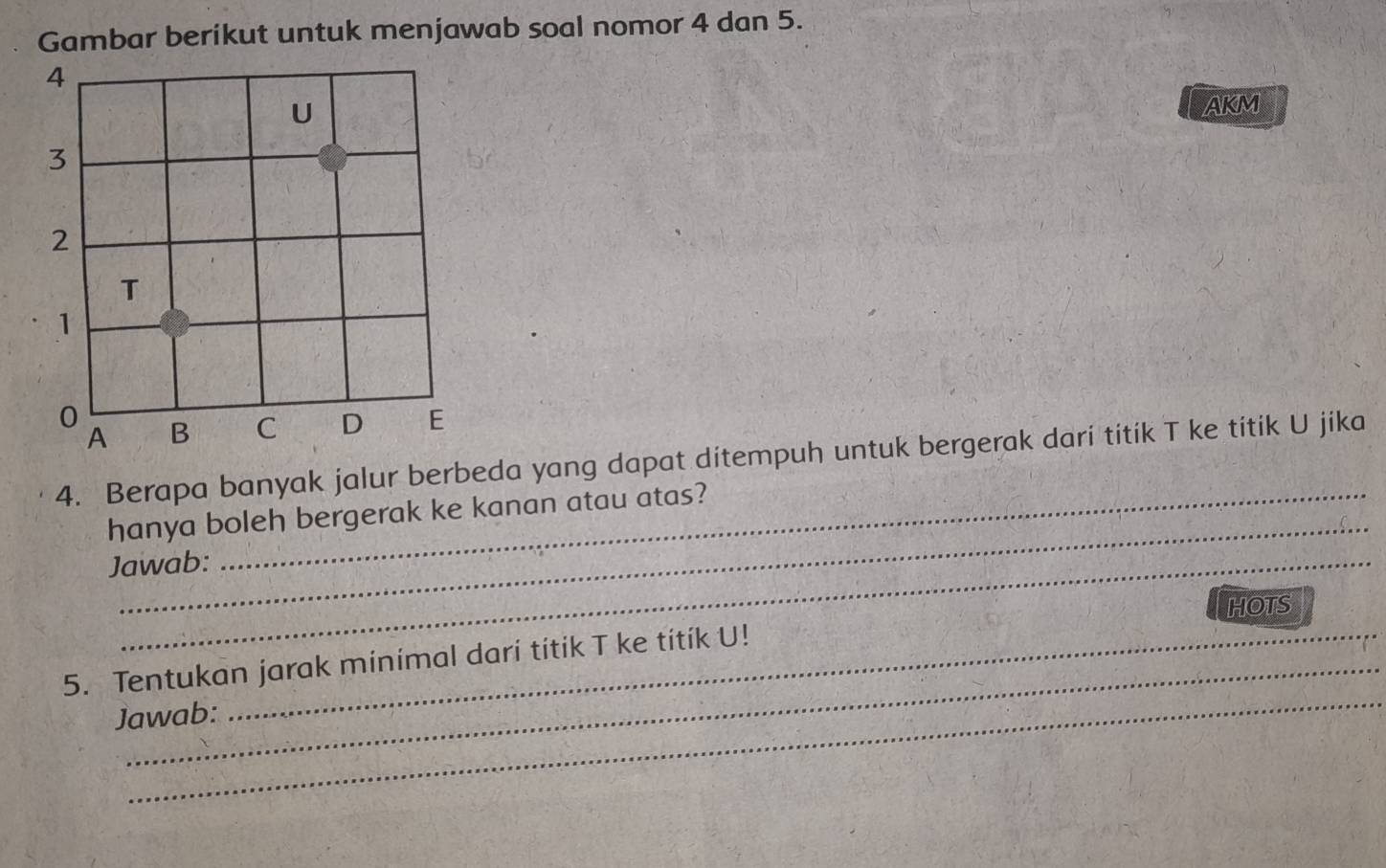 Gambar berikut untuk menjawab soal nomor 4 dan 5. 
AKM 
4. Berapa banyak jalur berbeda yang dapat ditempuh untuk bergerak dari titik T ke titik U jika 
_ 
hanya boleh bergerak ke kanan atau atas? 
Jawab: 
HOTS 
_ 
5. Tentukan jarak minimal dari títik T ke títík U! 
Jawab: