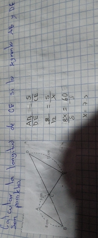 Calcolow, la long:too de Cé si 0 kegnnk ABy DE
Son parakl6o.
 AB/DE = 5/CE 
 8/12 = 5/x 
 8x/8 = 60/8 
x=7.5